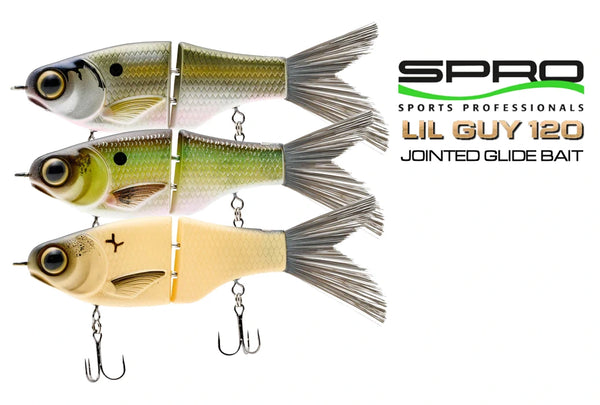 120 fishing lure River2Sea S-Waver Swimbait and across deep Nomad DTX Minnow Floating 120