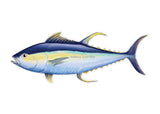 Salty Bones Yellowfin Tuna Profile Fish Decal