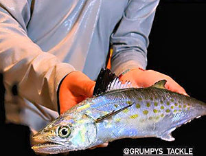 Look Who Showed Up! – Grumpys Tackle