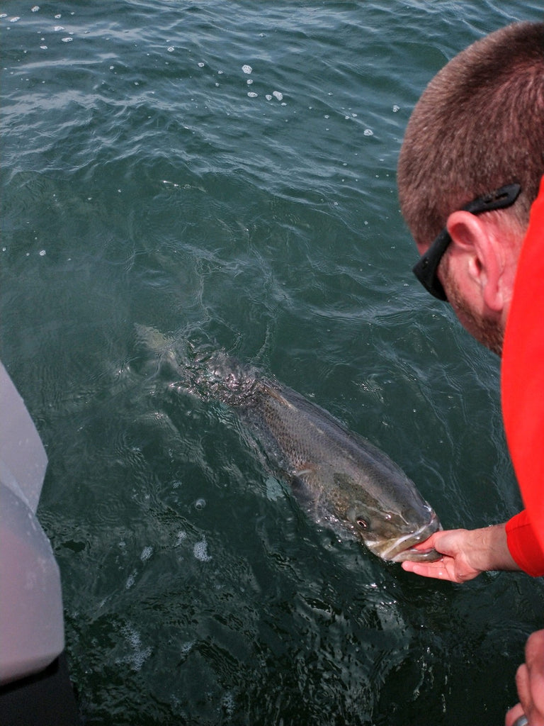 An Important Meeting Coming Up, Followed By A Fishing Report
