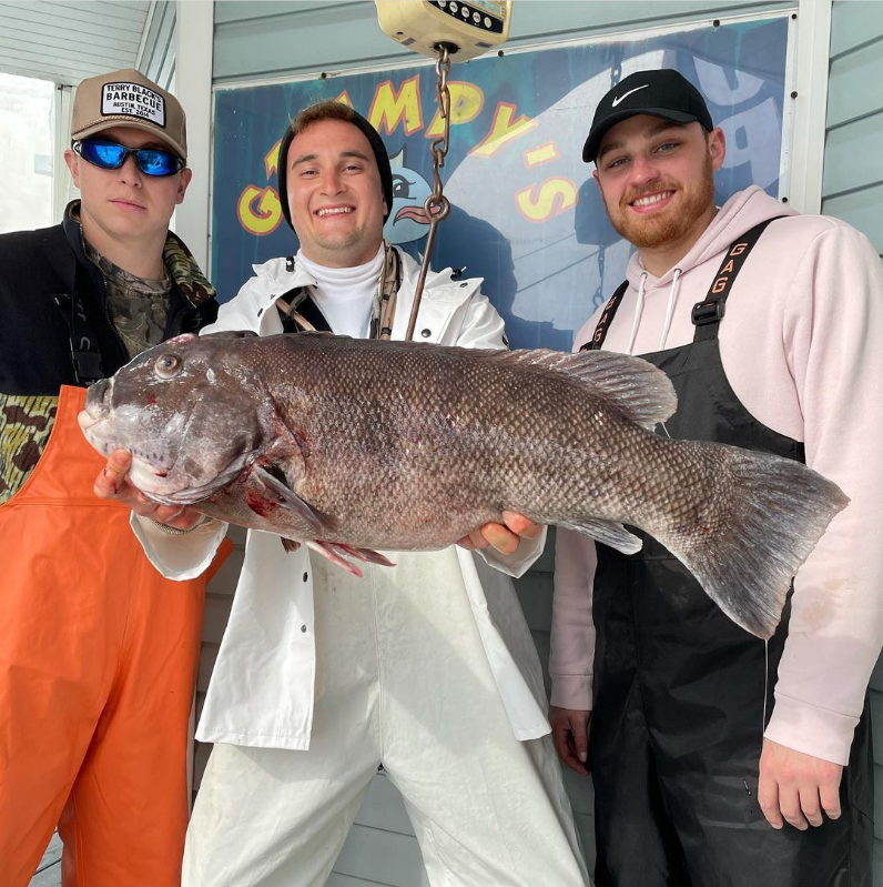 Blackfish, stripers, and bluef.... Nope, not quite yet....
