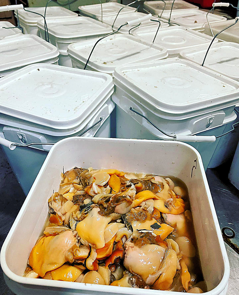 All Clams All The Time!