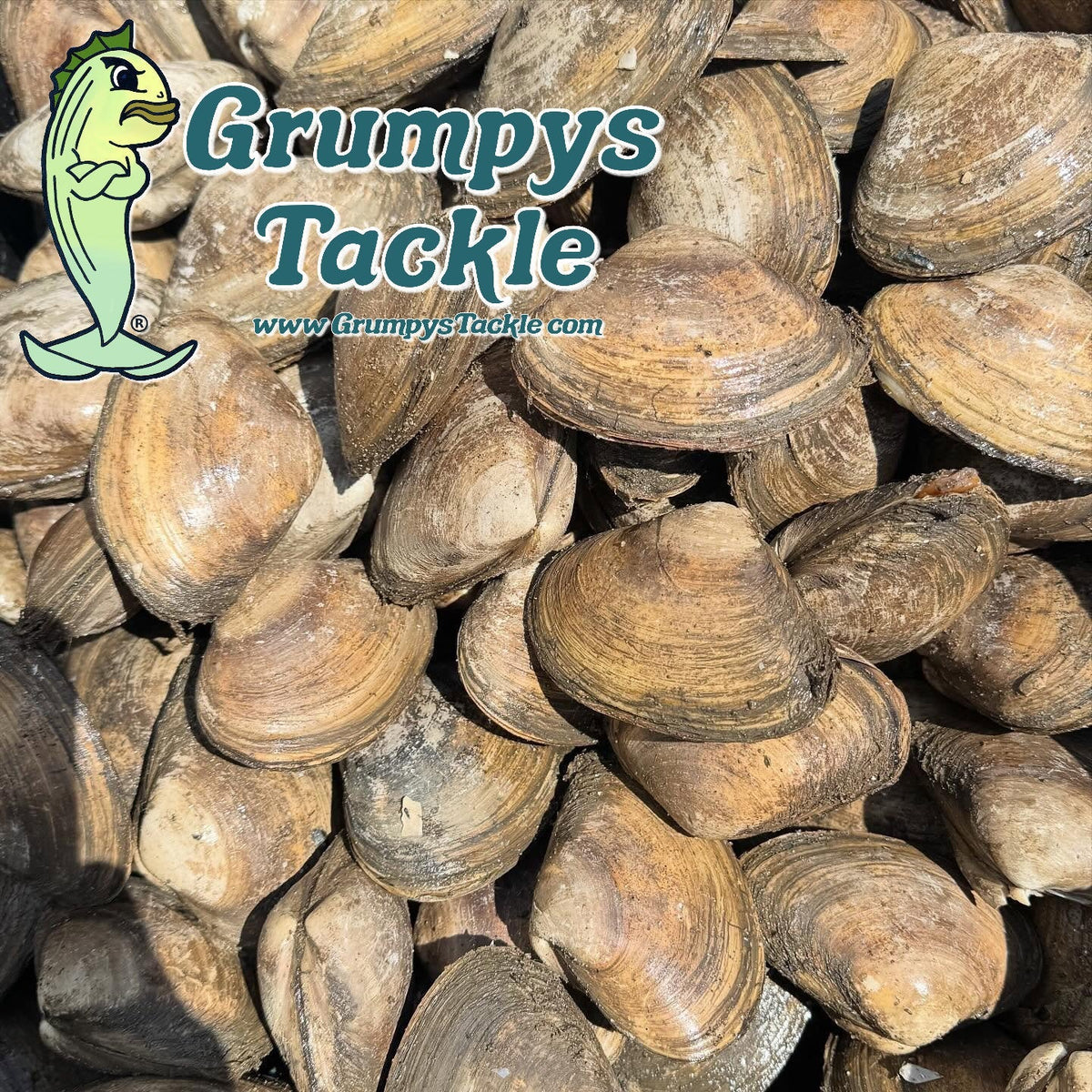Ugrumpy Fish Go Fishing – Grumpys Tackle
