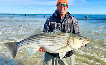 Tuesday! Tuesday! Tuesday!