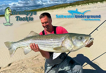 Striped Bass, Fluke and Drum March On
