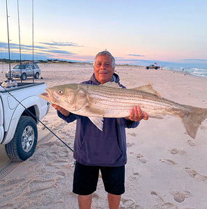 Striped Bass Are Starting To Show