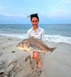 Fluke and Spot and Drum