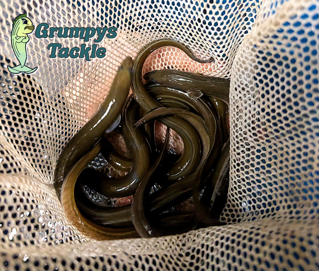 Restock Season (And a Fishing Report) – Grumpys Tackle