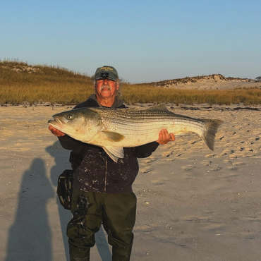 Happy Halloween to the Sand Eels!