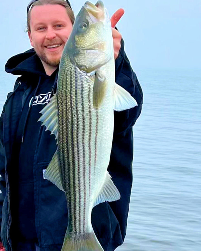 Back Bay Bite Is On – Grumpys Tackle