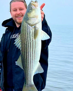 Back Bay Bite Is On