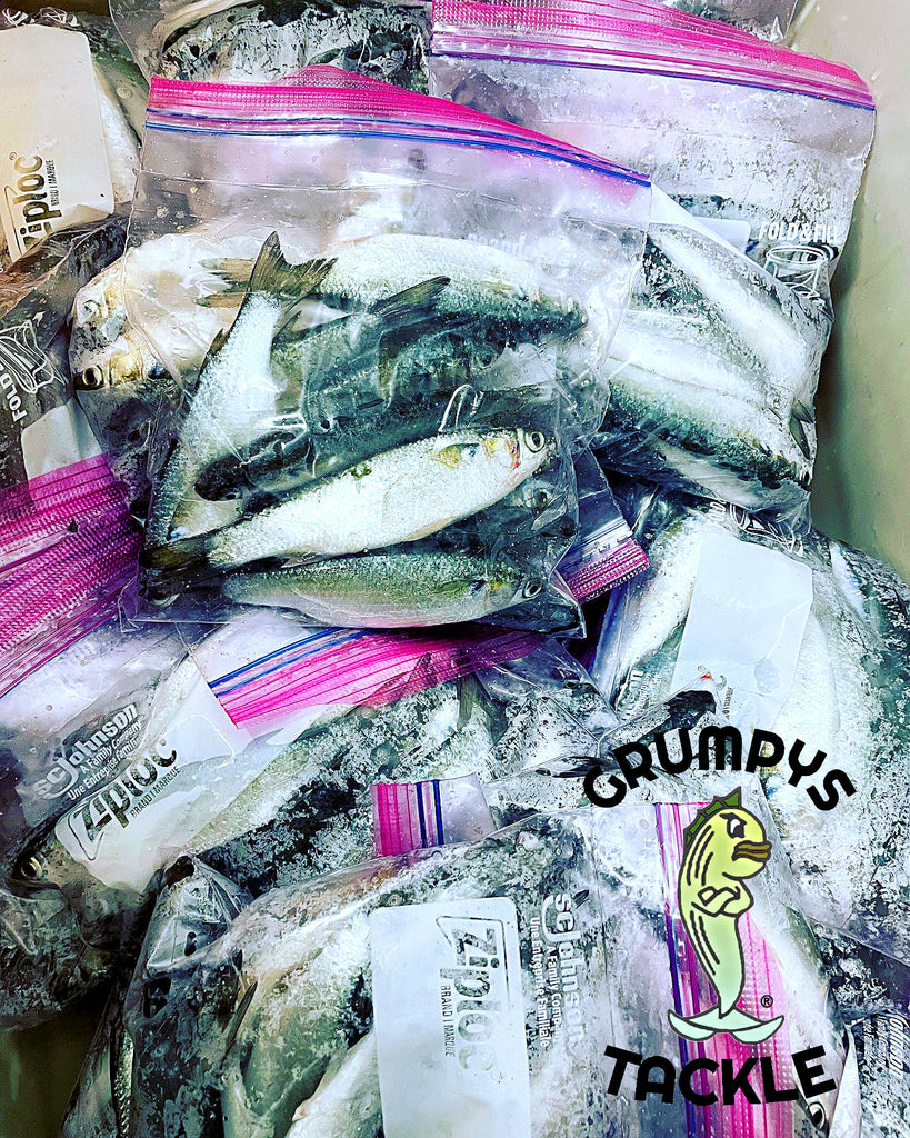 Mullet Are Here!