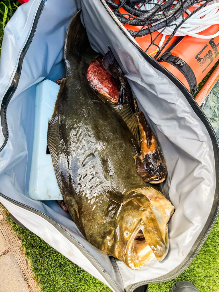 buffalo gear 45QT Fish Cooler Bag – Insulated, Lightweight & Flat Bottom Gray <tc>Farbe</tc>:Schwarz GUILTY GEAR 2 -OVERTURE monkey d luffy The Buffalo Gear Fish