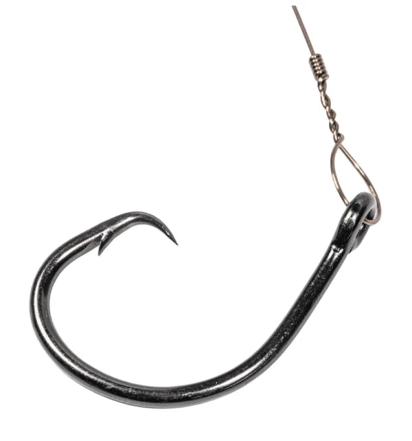 BlacktipH Surf Shark Rig