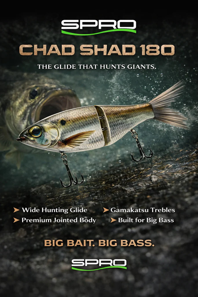 fishing baits & lures gandee SPRO KGB Chad Shad 180 Jointed Glide Bait – Grumpys Tackle