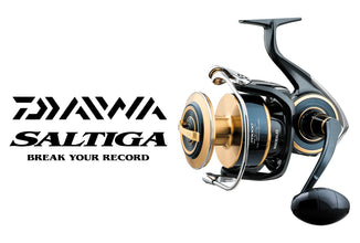 cheap daiwa spinning reels Fuego Cashion Rods Daiwa Crossfire LT Spinning Reel