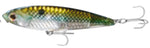 Tsunami Tidal Pro Topwater Bait