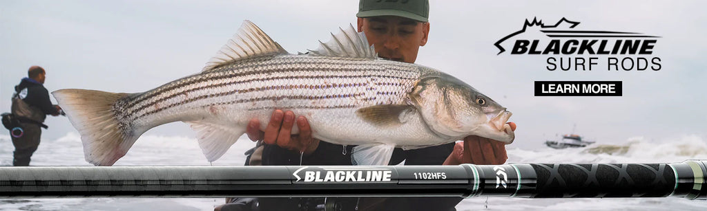 Striped Bass Shore Fishing Rods Daiwa Blackline Surf Spinning Rods