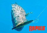 Rapala X-Rap® Magnum® Saltwater Series Xtreme Action Divebait
