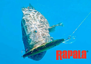 Rapala X-Rap® Magnum® Saltwater Series Xtreme Action Divebait
