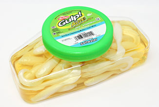 berkley fishing bucket Berkley Gulp! Alive! 4" Swimming Mullet